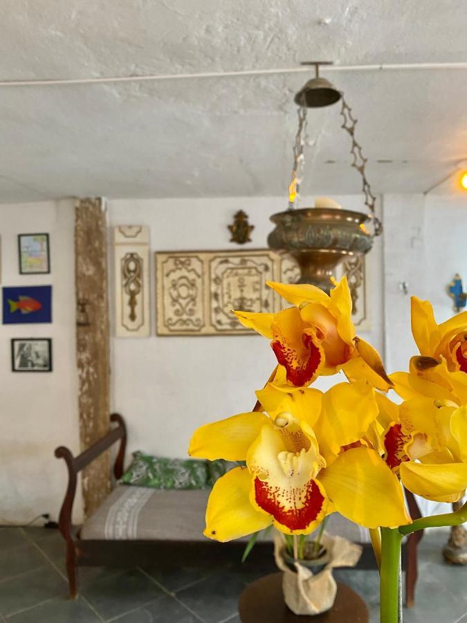 Hostel Dona Generoza Araquari Zewnętrze zdjęcie